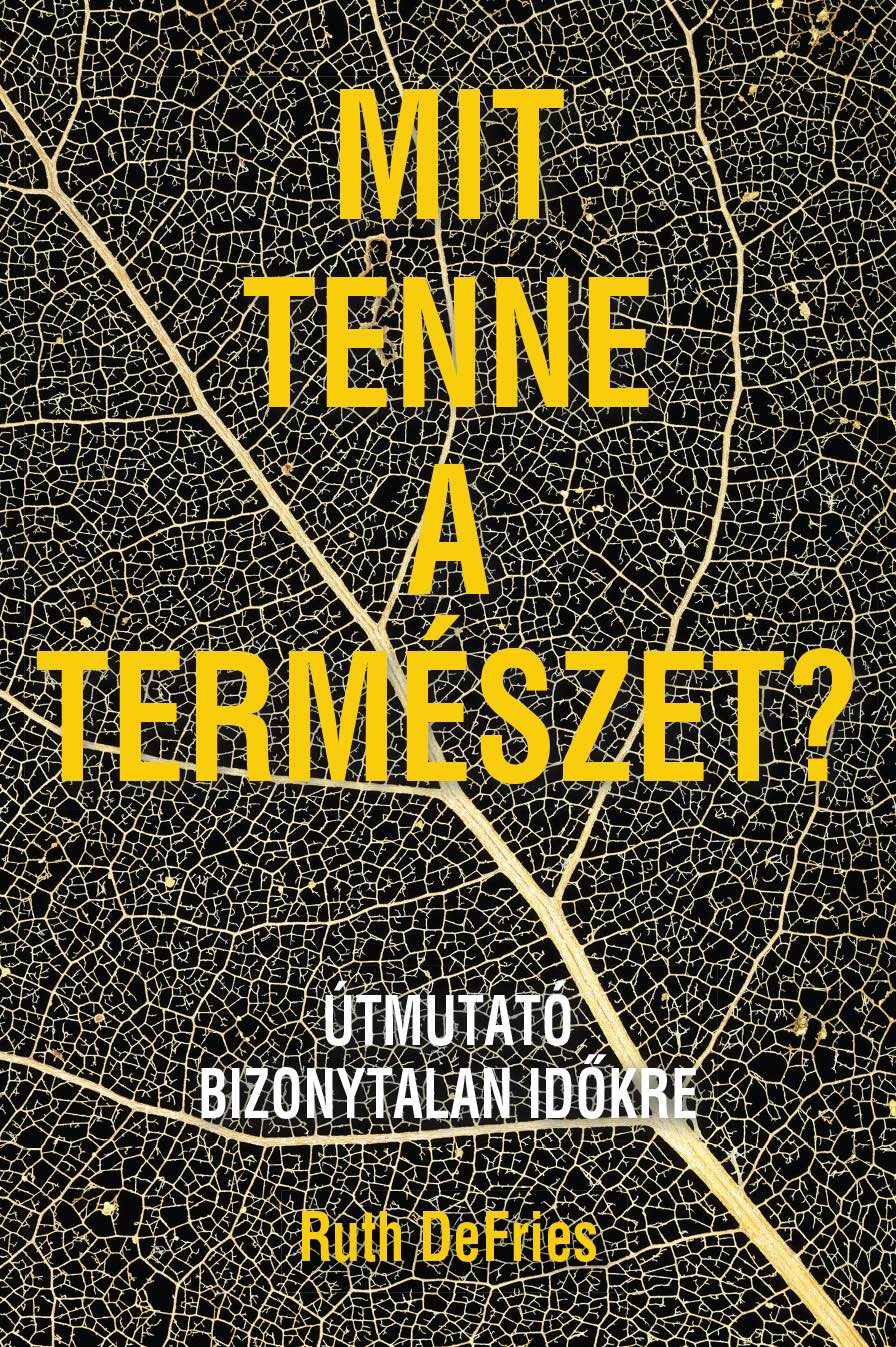 mit tenne a termeszet